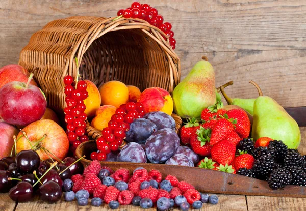 Les fruits, des voyageurs rapides dans la digestion