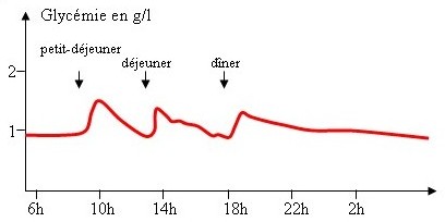 Glycémie et index glycémique