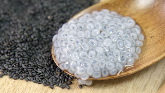 Graines de Chia